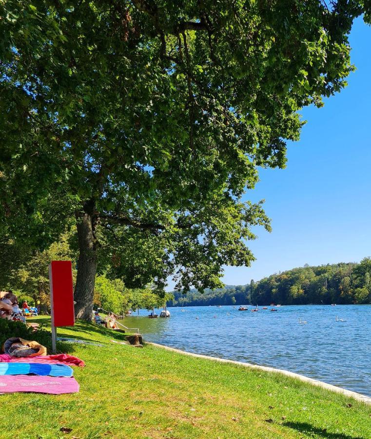 Ferienwohnung Rheinblick In Buesingen -Keine Monteure- Busingen Eksteriør billede