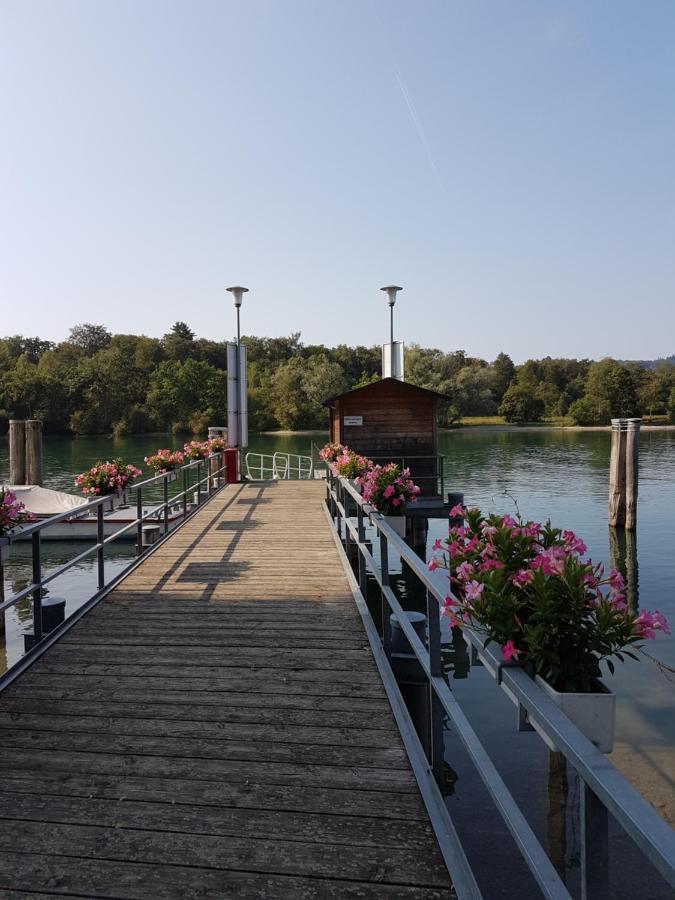 Ferienwohnung Rheinblick In Buesingen -Keine Monteure- Busingen Eksteriør billede