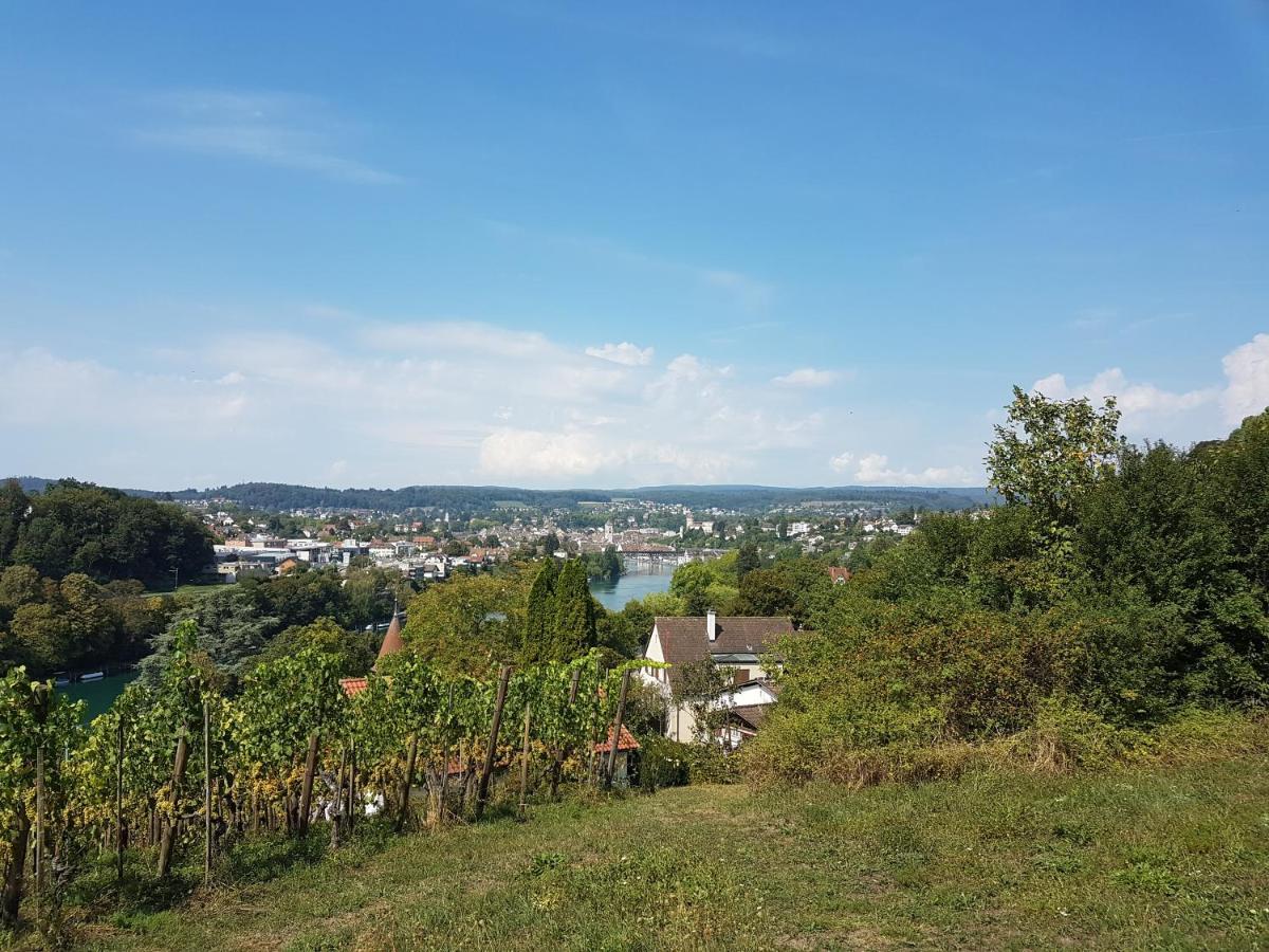 Ferienwohnung Rheinblick In Buesingen -Keine Monteure- Busingen Eksteriør billede