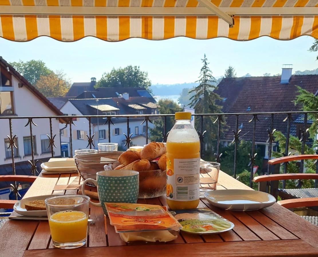 Ferienwohnung Rheinblick In Buesingen -Keine Monteure- Busingen Eksteriør billede