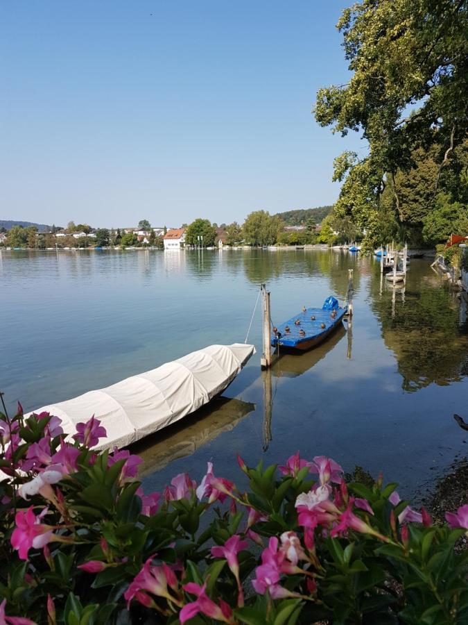 Ferienwohnung Rheinblick In Buesingen -Keine Monteure- Busingen Eksteriør billede