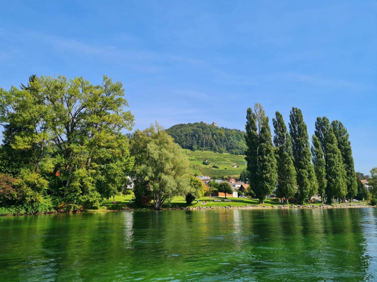 Ferienwohnung Rheinblick In Buesingen -Keine Monteure- Busingen Eksteriør billede