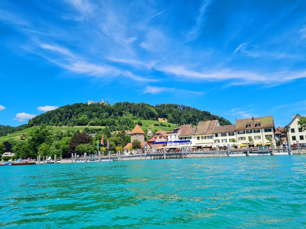 Ferienwohnung Rheinblick In Buesingen -Keine Monteure- Busingen Eksteriør billede