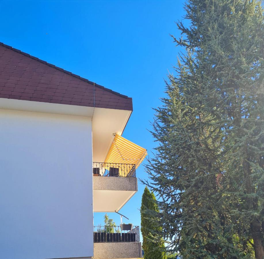 Ferienwohnung Rheinblick In Buesingen -Keine Monteure- Busingen Eksteriør billede